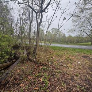 Photo #2 of OLD STILLHOUSE RD, CULPEPER, VA 5.6 acres
