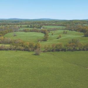 Photo #37 of 8160 FROGTOWN RD, MARSHALL, VA 450.0 acres