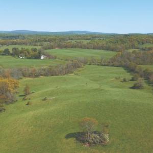 Photo #39 of 8160 FROGTOWN RD, MARSHALL, VA 450.0 acres