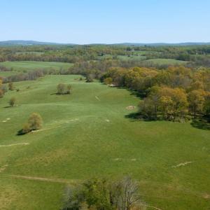 Photo #41 of 8160 FROGTOWN RD, MARSHALL, VA 450.0 acres