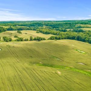 Photo #14 of 8160 FROGTOWN RD, MARSHALL, VA 450.0 acres