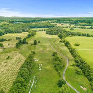 Photo #20 of 8160 FROGTOWN RD, MARSHALL, VA 450.0 acres