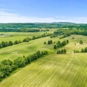 Photo #26 of 8160 FROGTOWN RD, MARSHALL, VA 450.0 acres