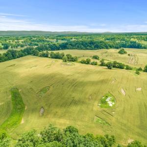 Photo #28 of 8160 FROGTOWN RD, MARSHALL, VA 450.0 acres