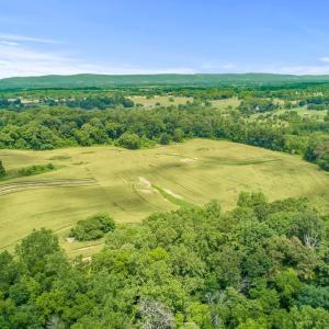 Photo #30 of 8160 FROGTOWN RD, MARSHALL, VA 450.0 acres
