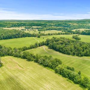 Photo #31 of 8160 FROGTOWN RD, MARSHALL, VA 450.0 acres