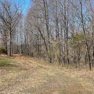 Photo #8 of YELLOWBOTTOM RD, LIGNUM, VA 115.0 acres