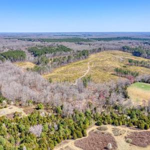 Photo #12 of YELLOWBOTTOM RD, LIGNUM, VA 115.0 acres