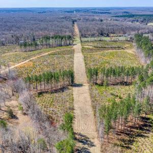 Photo #18 of YELLOWBOTTOM RD, LIGNUM, VA 115.0 acres