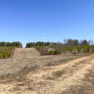 Photo #3 of YELLOWBOTTOM RD, LIGNUM, VA 115.0 acres