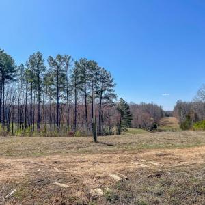 Photo #6 of YELLOWBOTTOM RD, LIGNUM, VA 115.0 acres