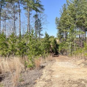 Photo #5 of YELLOWBOTTOM RD, LIGNUM, VA 115.0 acres