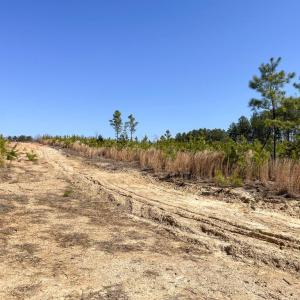 Photo #7 of YELLOWBOTTOM RD, LIGNUM, VA 115.0 acres