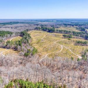 Photo #16 of YELLOWBOTTOM RD, LIGNUM, VA 115.0 acres