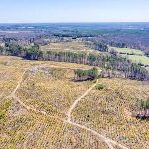 Photo #11 of YELLOWBOTTOM RD, LIGNUM, VA 115.0 acres