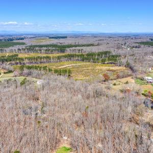Photo #10 of YELLOWBOTTOM RD, LIGNUM, VA 115.0 acres