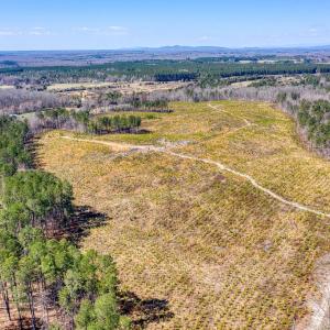 Photo #1 of YELLOWBOTTOM RD, LIGNUM, VA 115.0 acres