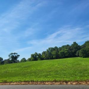 Photo #2 of 5430 LEWISTON RD, BUMPASS, VA 2.5 acres
