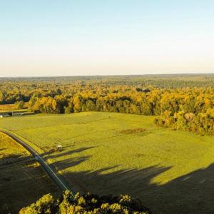 Photo #4 of (PARCEL 26-68B) BIBB STORE RD, LOUISA, VA 8.6 acres