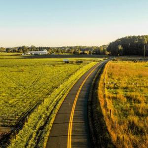 Photo #6 of (PARCEL 26-68B) BIBB STORE RD, LOUISA, VA 8.6 acres