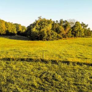 Photo #7 of (PARCEL 26-68B) BIBB STORE RD, LOUISA, VA 8.6 acres