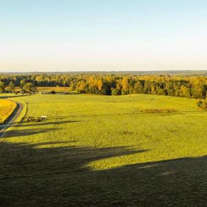 Photo #9 of 3553 BIBB STORE RD, LOUISA, VA 12.4 acres