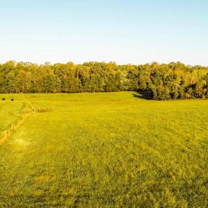 Photo #8 of 3553 BIBB STORE RD, LOUISA, VA 12.4 acres