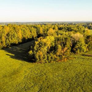 Photo #6 of 3553 BIBB STORE RD, LOUISA, VA 12.4 acres