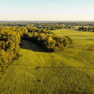 Photo #5 of 3553 BIBB STORE RD, LOUISA, VA 12.4 acres