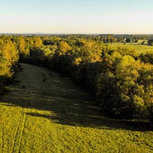 Photo #4 of 3553 BIBB STORE RD, LOUISA, VA 12.4 acres