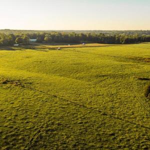 Photo #7 of 3553 BIBB STORE RD, LOUISA, VA 12.4 acres