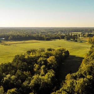 Photo #3 of 3553 BIBB STORE RD, LOUISA, VA 12.4 acres