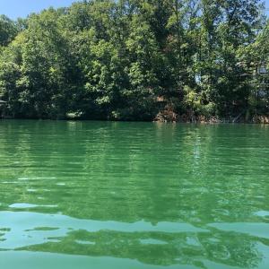 lot 23 sancturary bay