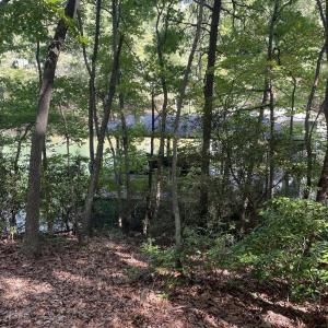 E2AFB36A-D9F5-43C8-B9A8-839DF33E3996