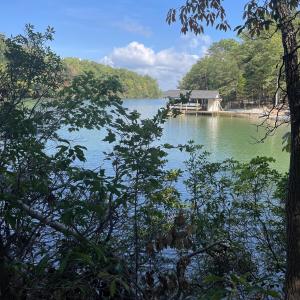 CEFCD410-5C0A-4903-B318-83B8B2D0AC92