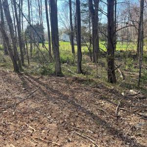 Photo #7 of HISTORIC LANE, MINERAL, VA 1.2 acres