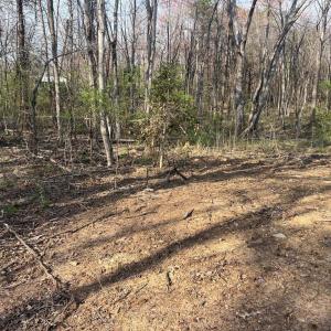 Photo #6 of HISTORIC LANE, MINERAL, VA 1.2 acres