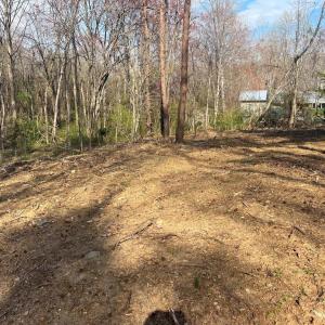 Photo #5 of HISTORIC LANE, MINERAL, VA 1.2 acres