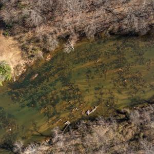 Photo #14 of 4 DILLARD RD, FREDERICKSBURG, VA 5.1 acres