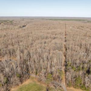 Photo #6 of 4 DILLARD RD, FREDERICKSBURG, VA 5.1 acres