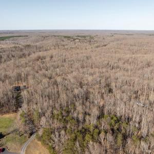 Photo #8 of 4 DILLARD RD, FREDERICKSBURG, VA 5.1 acres