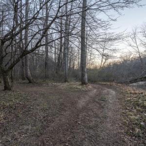Photo #25 of 4 DILLARD RD, FREDERICKSBURG, VA 5.1 acres