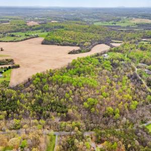 Photo #4 of BOTHA RD, WARRENTON, VA 34.0 acres