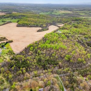 Photo #5 of BOTHA RD, WARRENTON, VA 34.0 acres