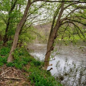 Photo #21 of RIVER VIEW ROAD, SHENANDOAH, VA 1.0 acres