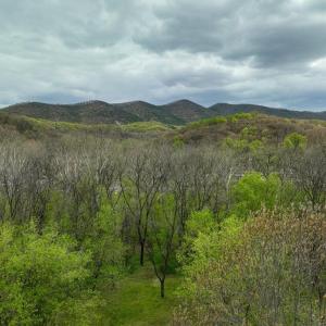 Photo #30 of RIVER VIEW ROAD, SHENANDOAH, VA 1.0 acres