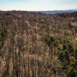 Photo #2 of HIDDEN SPRINGS DR, MARSHALL, VA 6.4 acres