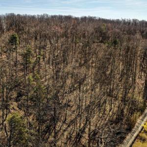 Photo #4 of HIDDEN SPRINGS DR, MARSHALL, VA 6.4 acres