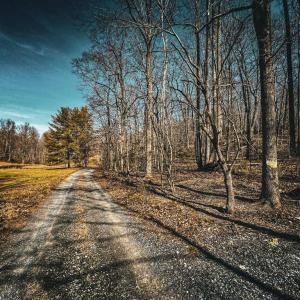 Photo #5 of HIDDEN SPRINGS DR, MARSHALL, VA 6.4 acres