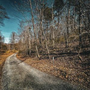 Photo #6 of HIDDEN SPRINGS DR, MARSHALL, VA 6.4 acres